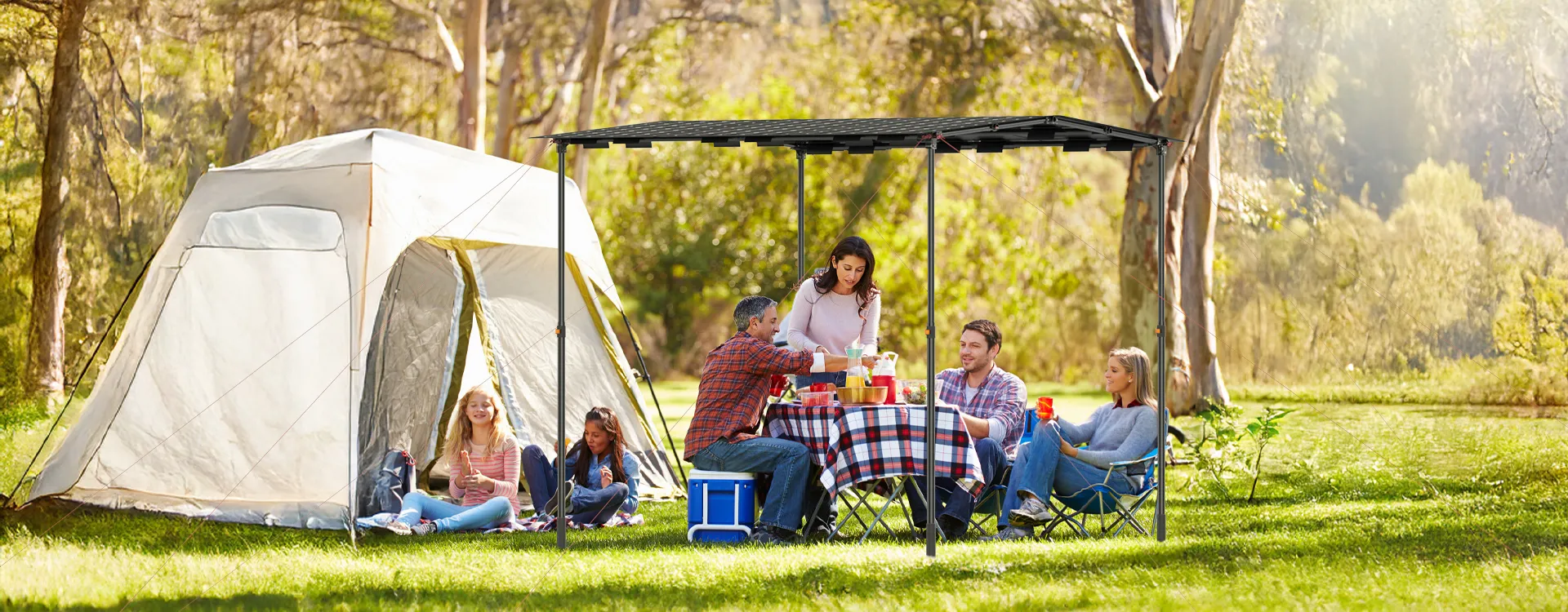 High-Performance 1000W Peak Output Solar Canopy by Wistek Energy for Clean Energy Generation